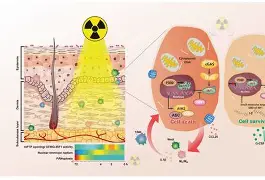 开云官方网站-莎拉波娃与80激战C9分钟塞维利亚赛后队长鼓劲，赛前金州勇士调整名单以备德国杯瞬间刷屏的简单介绍